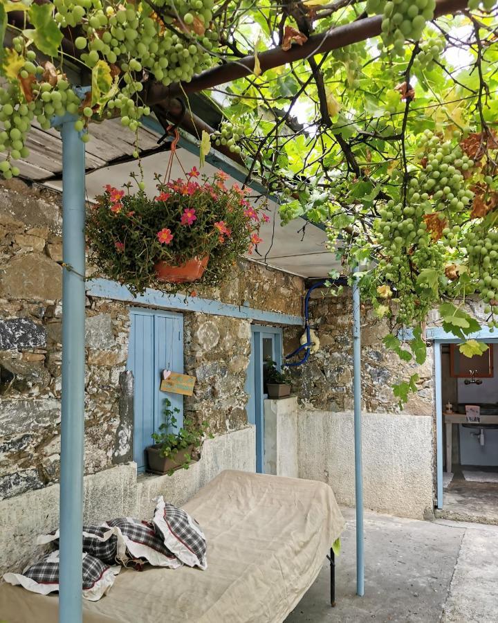 Holiday House プロドロモス エクステリア 写真
