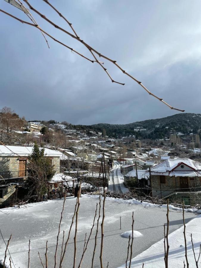 Holiday House プロドロモス エクステリア 写真
